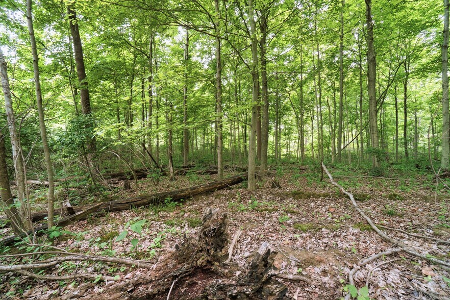 More Photos Of 30-Acres Wolfpen Pleasant Hill Rd, Day Heights Land For Sale