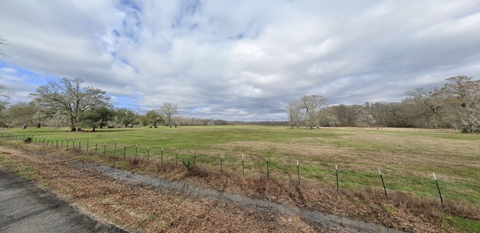 Primary Photo Of 44316 Fontenot rd, Saint Amant Land For Sale