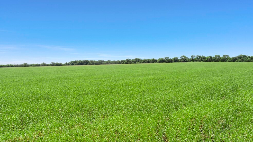 More Photos Of CR-1067, Greenville Land For Sale