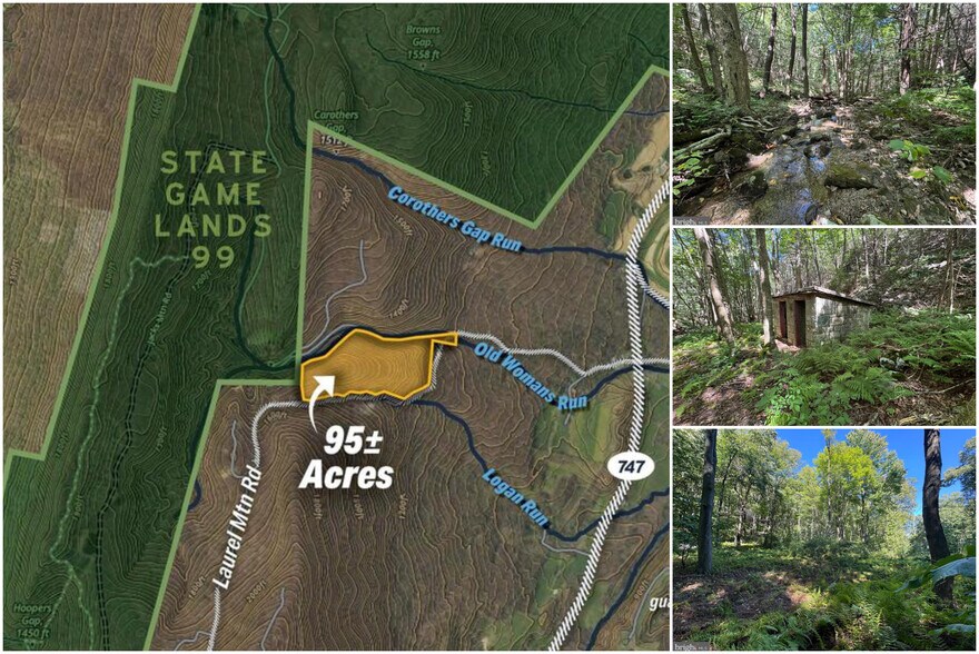 More Photos Of 0 Laurel Mountain Rd, Three Springs Land For Sale