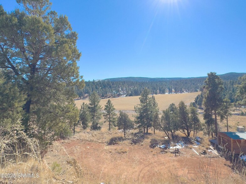 More Photos Of 2773 US Highway 82, Mayhill Hospitality For Sale