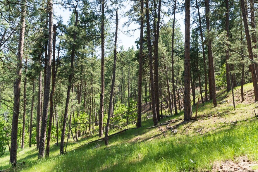 More Photos Of 1201A Old Hill City Rd, Keystone Land For Sale