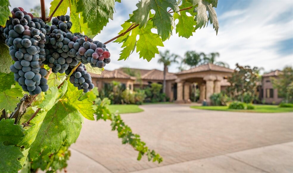 More Photos Of 34515 Buck Rd, Temecula Winery Vineyard For Sale