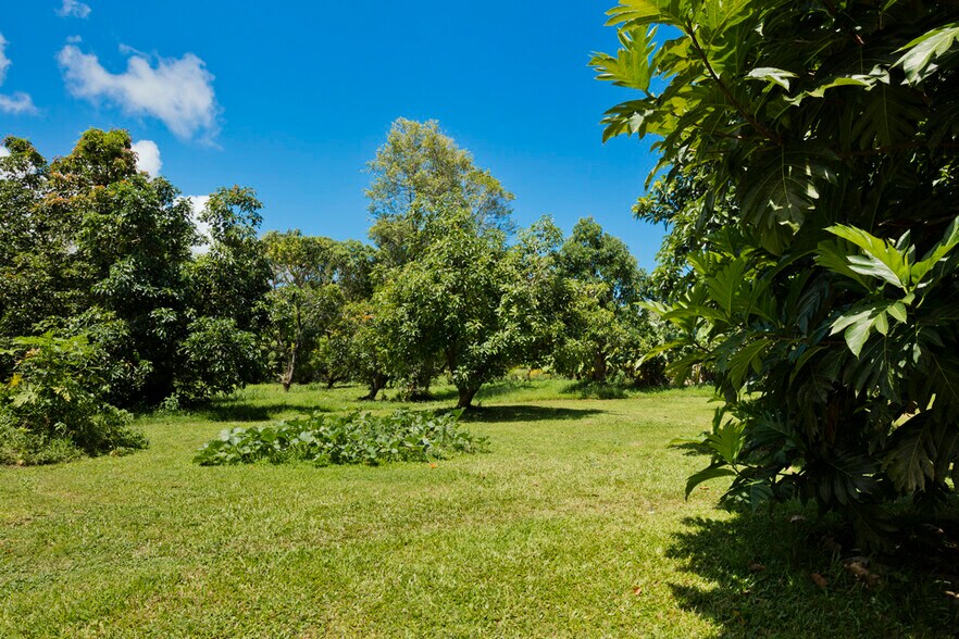 More Photos Of 13-2060 Lolia Pl, Pahoa Multifamily For Sale