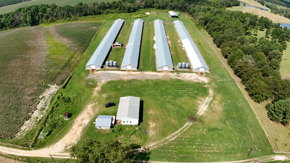 More Photos Of 594 Daffodil Ln, Pitts Land For Sale