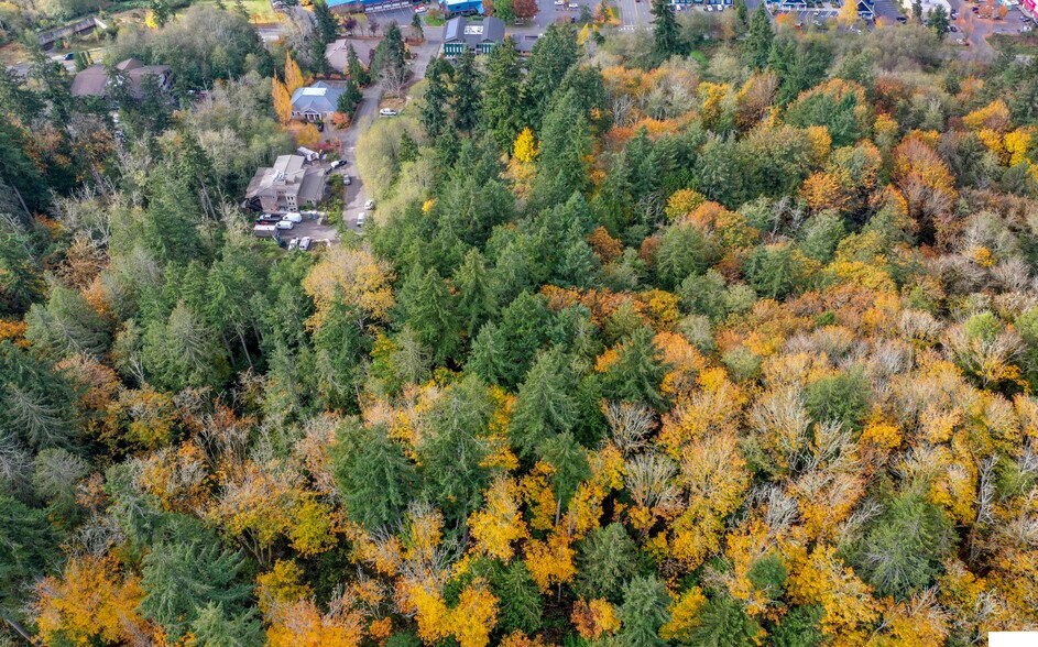More Photos Of 10th Avenue @ Liberty, Poulsbo Land For Sale