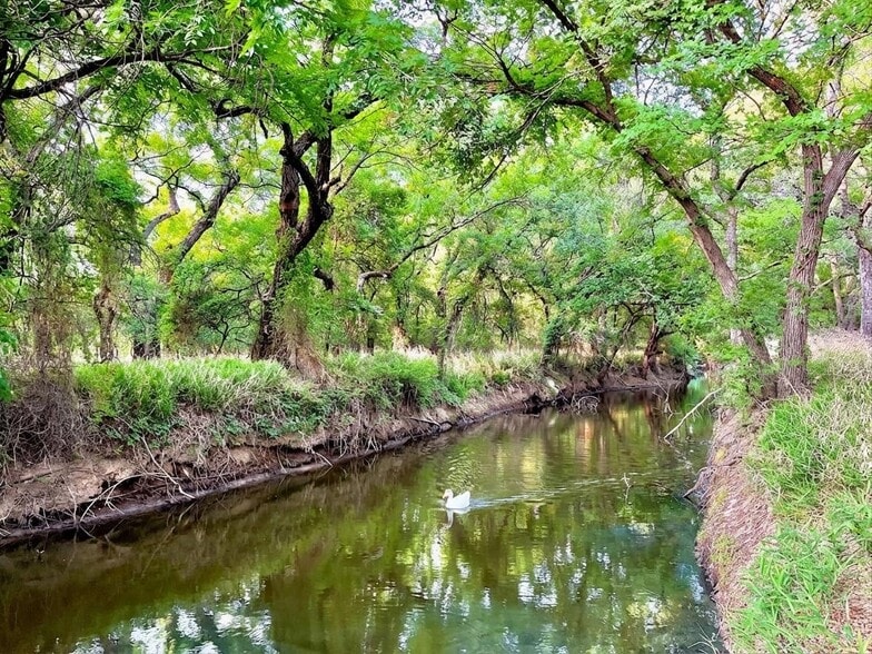 More Photos Of 7120 HWY 183 N, Early Land For Sale