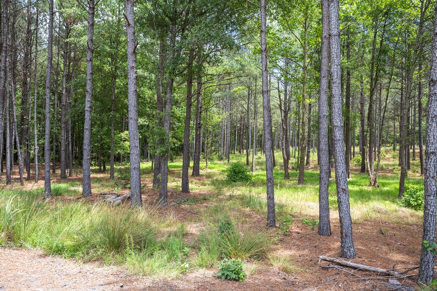 More Photos Of 414 New Elam Church Rd, Moncure Land For Sale