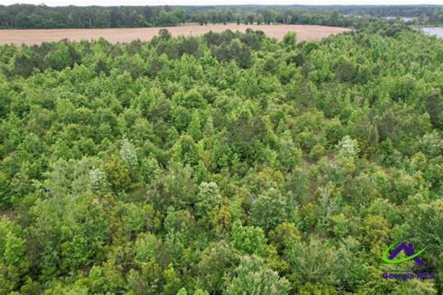More Photos Of Chester Alamo Hwy, Chester Land For Sale