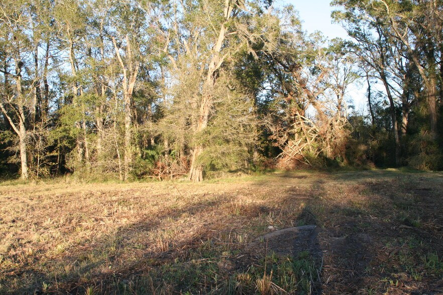 More Photos Of 542640 US Highway 1, Callahan Land For Sale