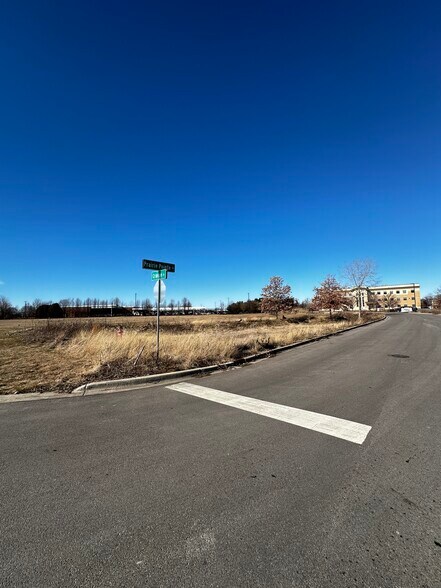 More Photos Of 721 Crimson Ln, Yorkville Land For Sale
