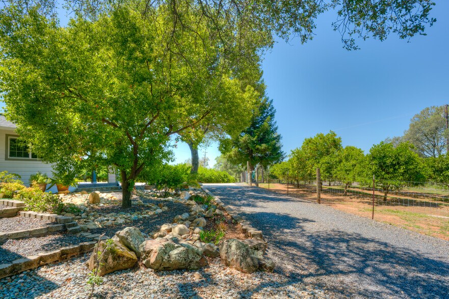 More Photos Of 78 Circle View Dr, Oroville Winery Vineyard For Sale