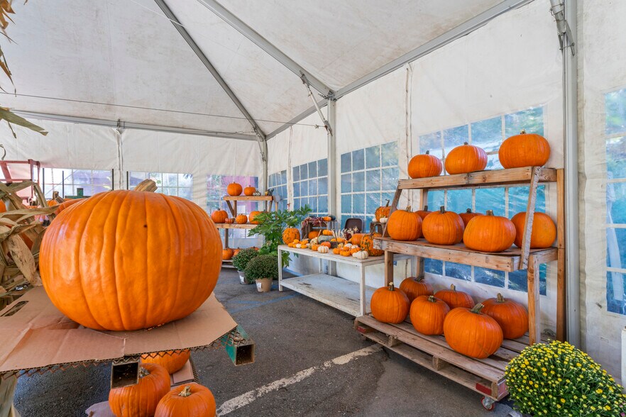 More Photos Of 303 CA-173 Hwy, Lake Arrowhead Garden Center For Sale