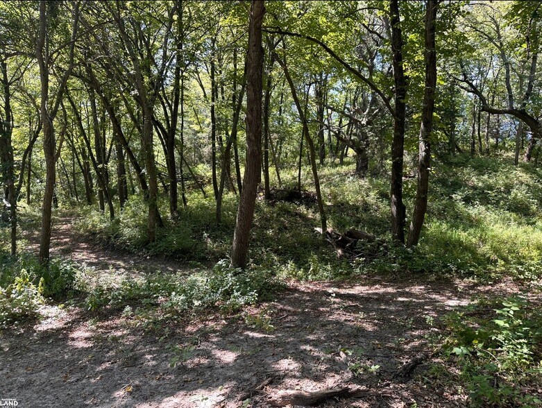 More Photos Of 615 Hazel St, Louisville Land For Sale