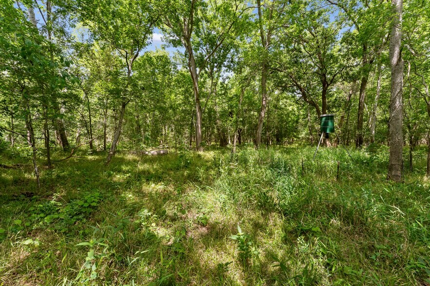 More Photos Of 10840 FM 442, Boling Land For Sale