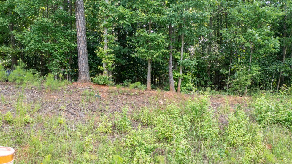 More Photos Of 0 Roosevelt Hwy, Warm Springs Land For Sale