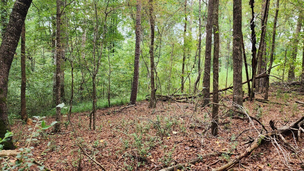 More Photos Of 1661 Friendship Rd, Hoschton Land For Sale