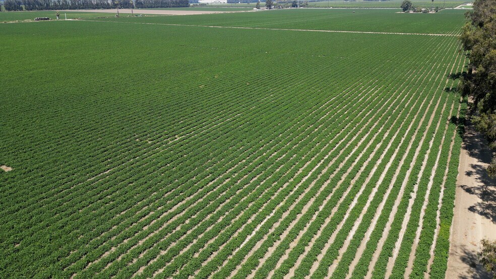 More Photos Of 150 Los Angeles, Somis Land For Sale
