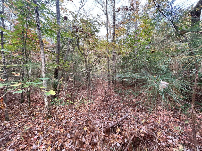 More Photos Of 2224 Governors rd, Windsor Land For Sale