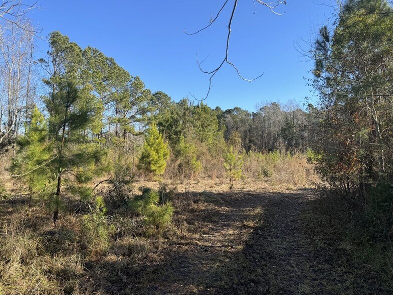 More Photos Of 1648 Lanvale Rd NE, Leland Land For Sale