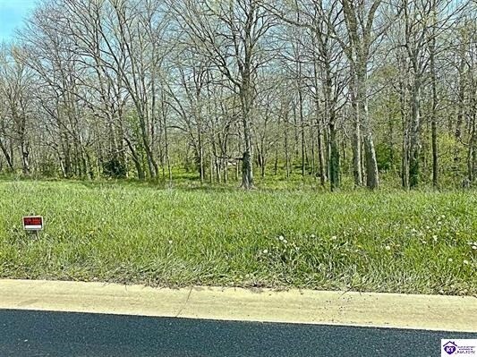 More Photos Of Sawgrass Ave, Vine Grove Land For Sale