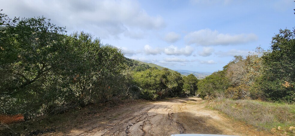 More Photos Of Salinas Road Hwy, San Juan Bautista Land For Sale