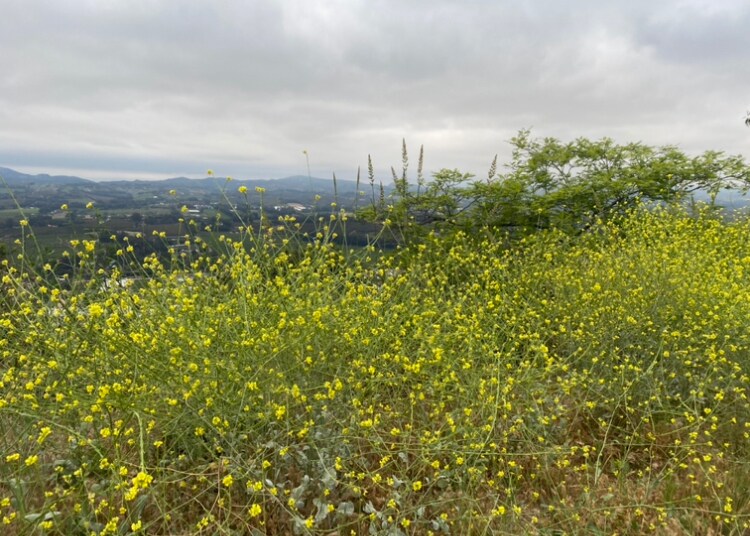 More Photos Of 7979 Worth Way, Camarillo Land For Lease
