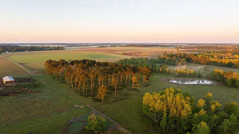 More Photos Of 24795 County Road 32, Elberta Land For Sale