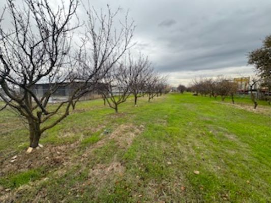 More Photos Of 3832 99 Frontage rd, Stockton Land For Lease