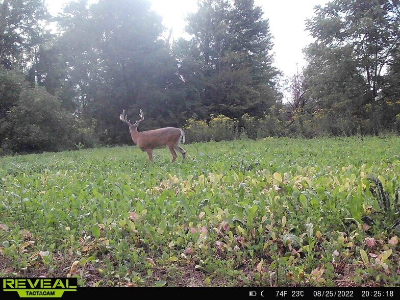 More Photos Of 7610 OH-309, Galion Land For Sale