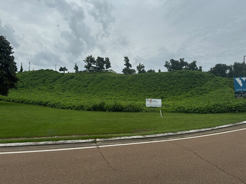 More Photos Of 10 Grand Soleil Boulevard, Natchez Land For Sale