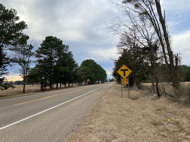 More Photos Of 0 Hwy 41S, Foreman Land For Sale
