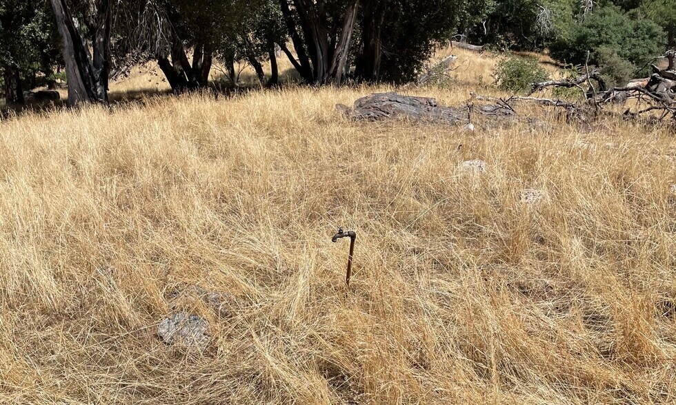 More Photos Of 00000 Forrest Road 1N19, Tuolumne Land For Sale