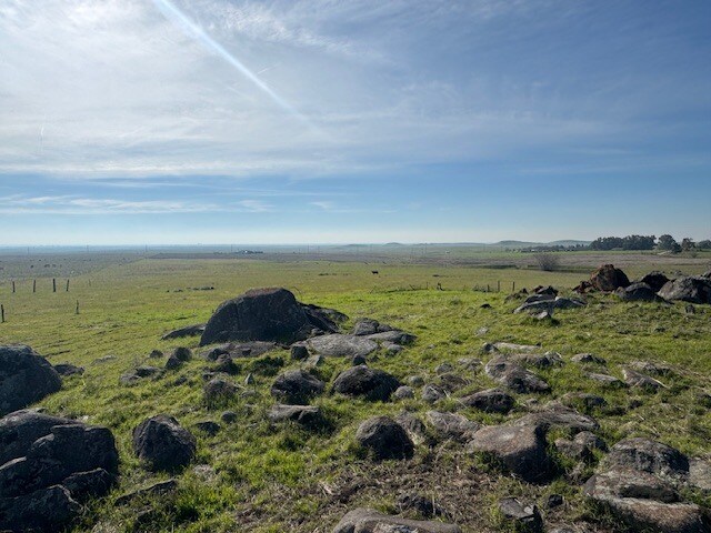 More Photos Of 34008 Heiskell Dr, Raymond Land For Sale