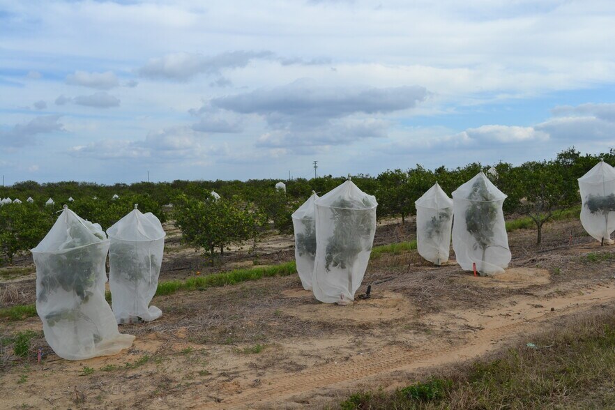 More Photos Of Scenic Highway, Babson Park Land For Sale