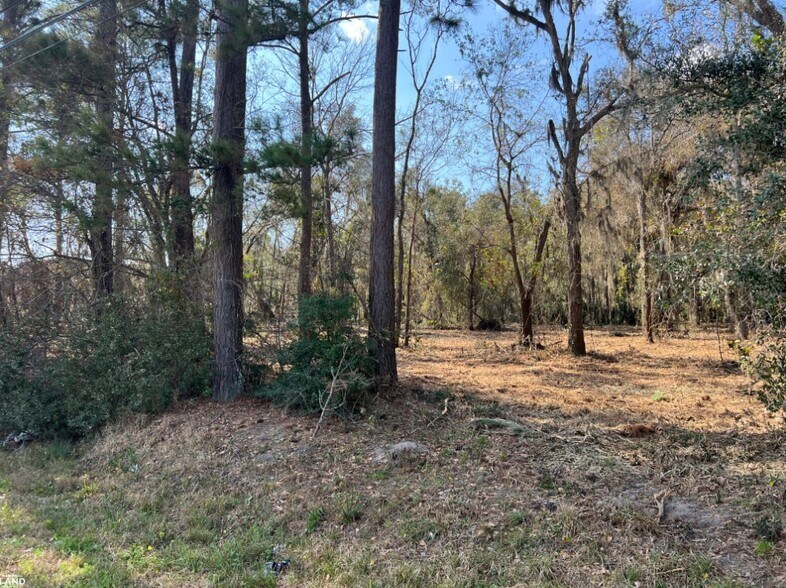 More Photos Of 3855 Darien Hwy, Brunswick Land For Sale