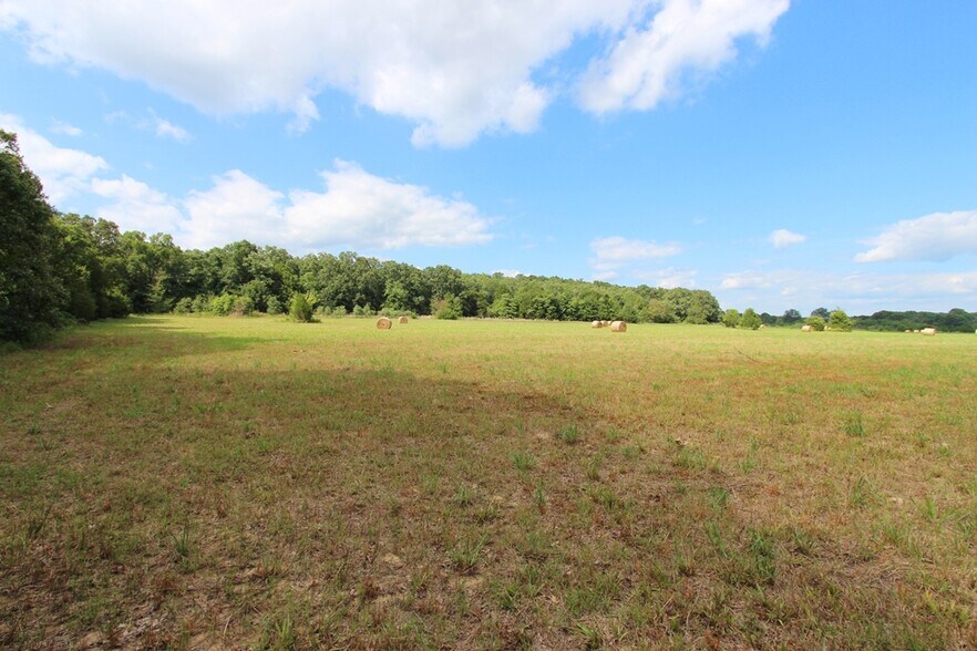More Photos Of 278 Highway 64 E, Conway Land For Sale