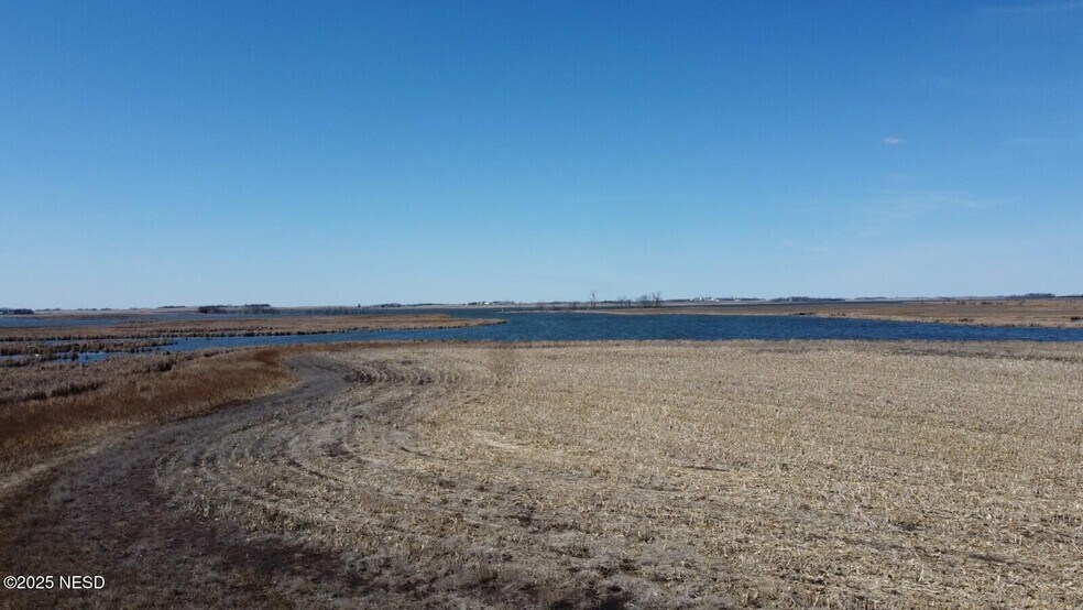 More Photos Of 0 441st Ave, Webster Land For Sale