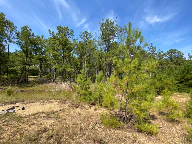 More Photos Of US 51 Bypass hwy, Roseland Land For Sale
