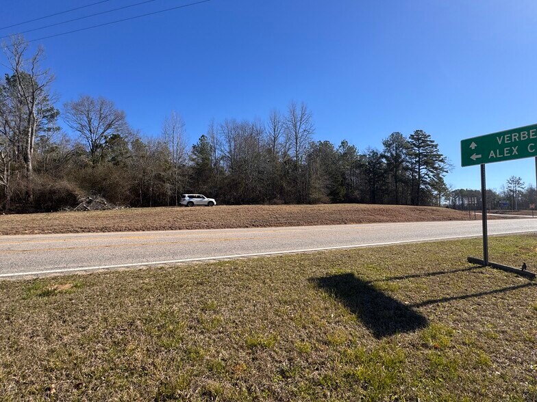 More Photos Of U.S. 31, Verbena Land For Sale