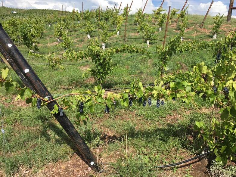More Photos Of 68 Harvest Dr, Sonoita Land For Sale