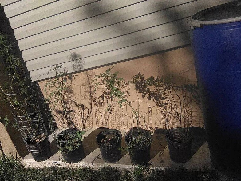 More Photos Of 2038 Grant Ave, Philadelphia Specialty For Sale