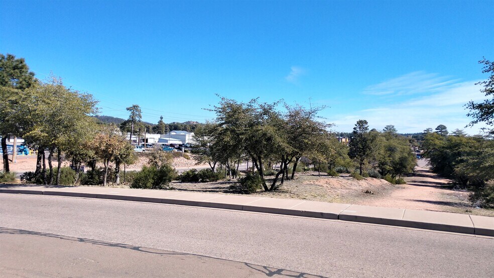 More Photos Of 201 W Longhorn Rd, Payson Land For Sale