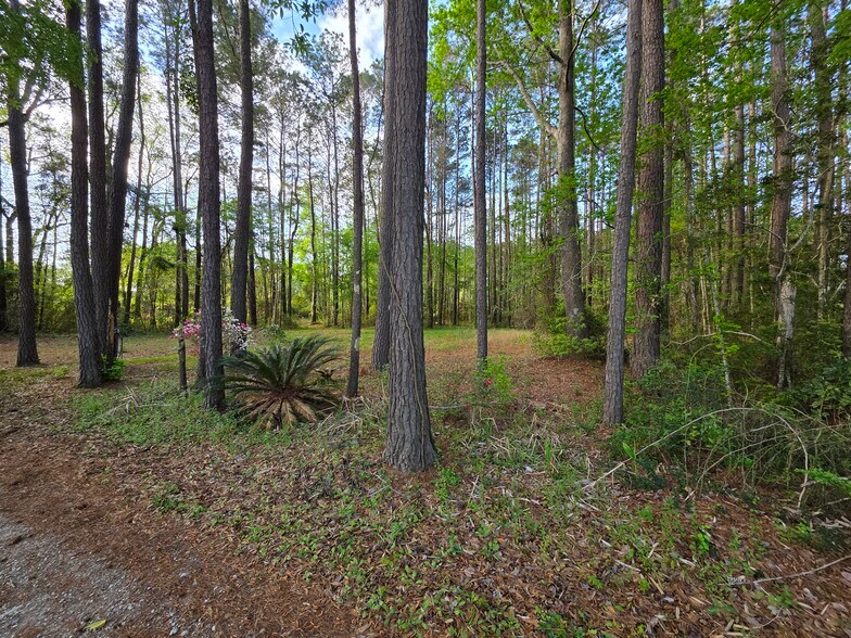 More Photos Of 11091 Hwy 707, Murrells Inlet Land For Sale