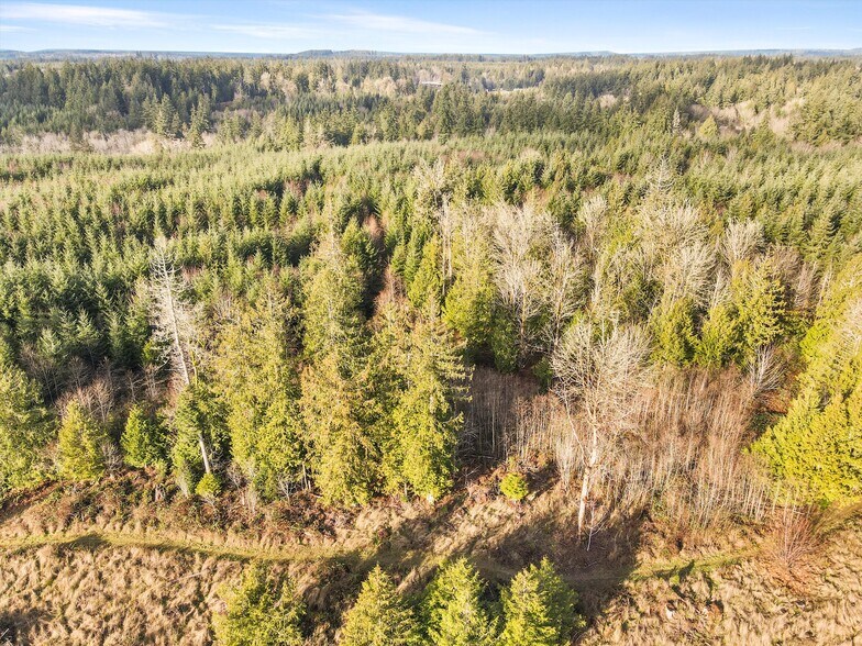 More Photos Of XXX Gravelly Beach Loop, Olympia Land For Sale