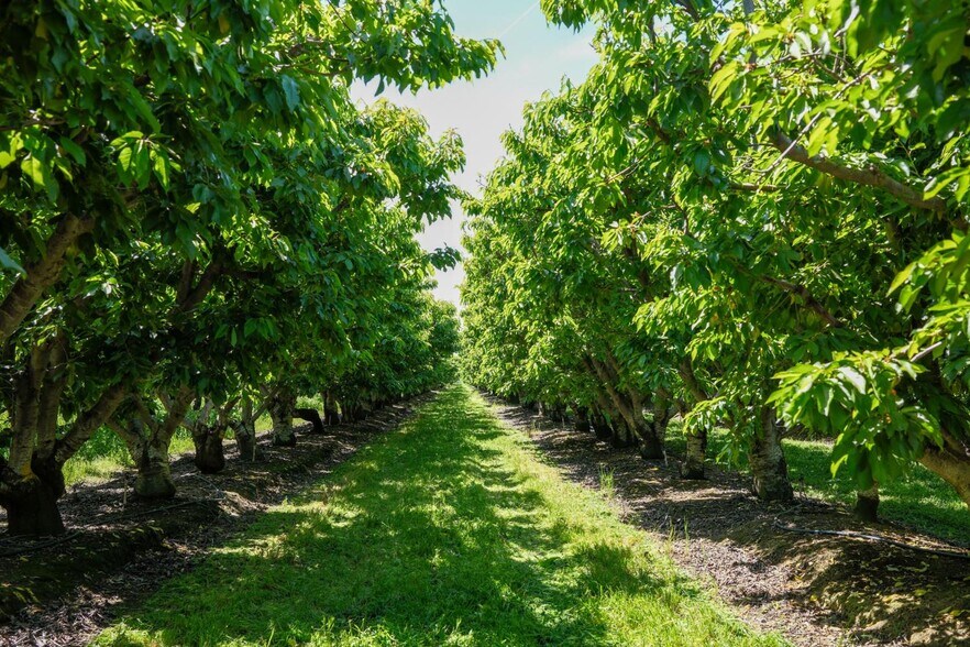 More Photos Of 0 Rock Pile Road, Arvin Land For Sale