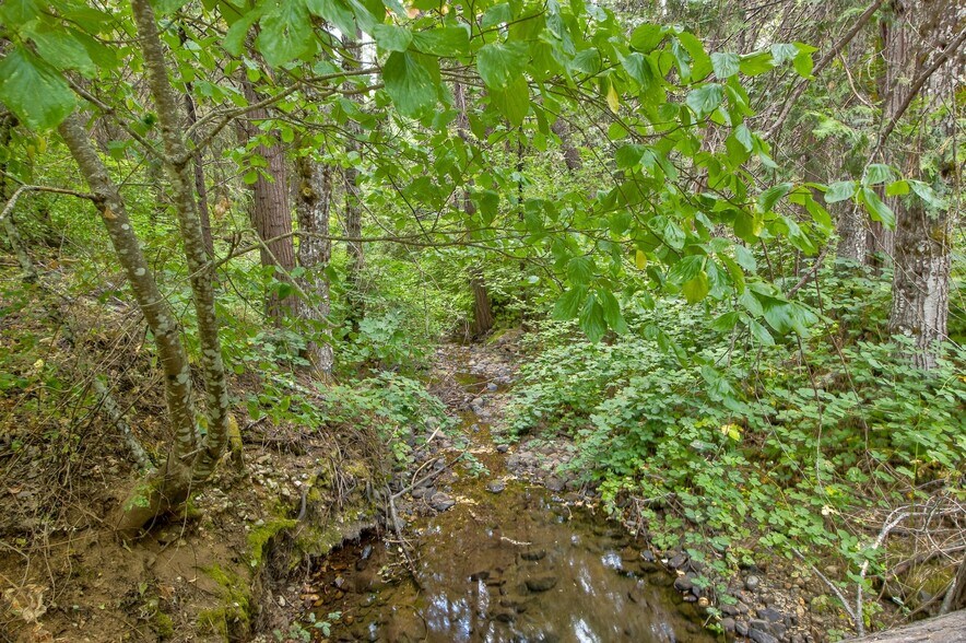 More Photos Of Mountain Dew Lane, Somerset Land For Sale