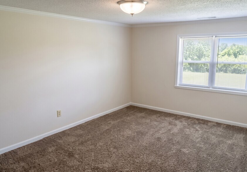 More Photos Of ,  Specialty For Sale