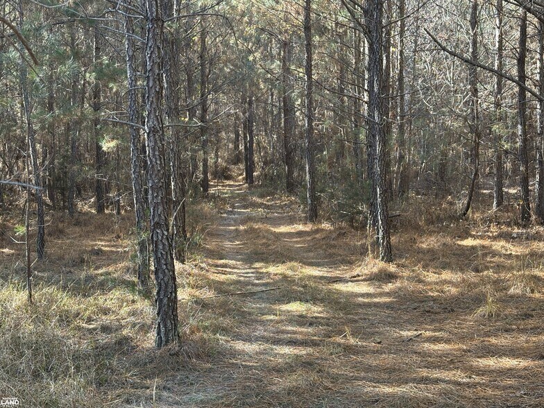 More Photos Of 0 Old Beatty Ford Rd., Gold Hill Land For Sale