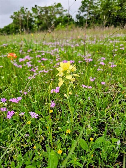 More Photos Of 2970 County Road 270, Cameron Land For Sale